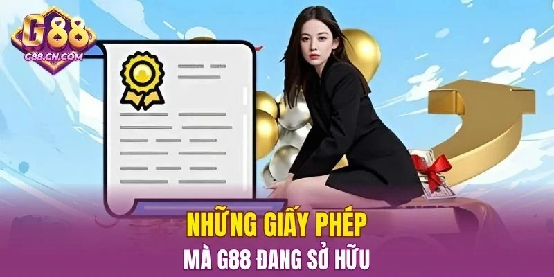 Danh mục giấy phép hợp pháp mà thương hiệu đang nắm giữ