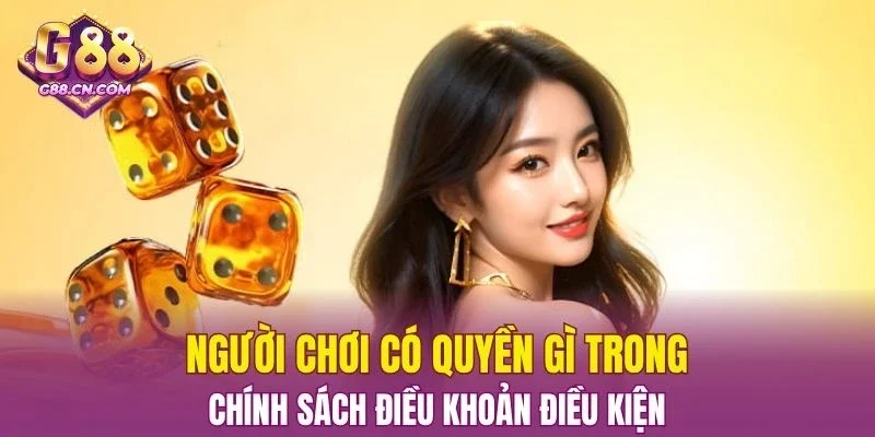 Người chơi có quyền gì trong chính sách Điều Khoản Điều Kiện